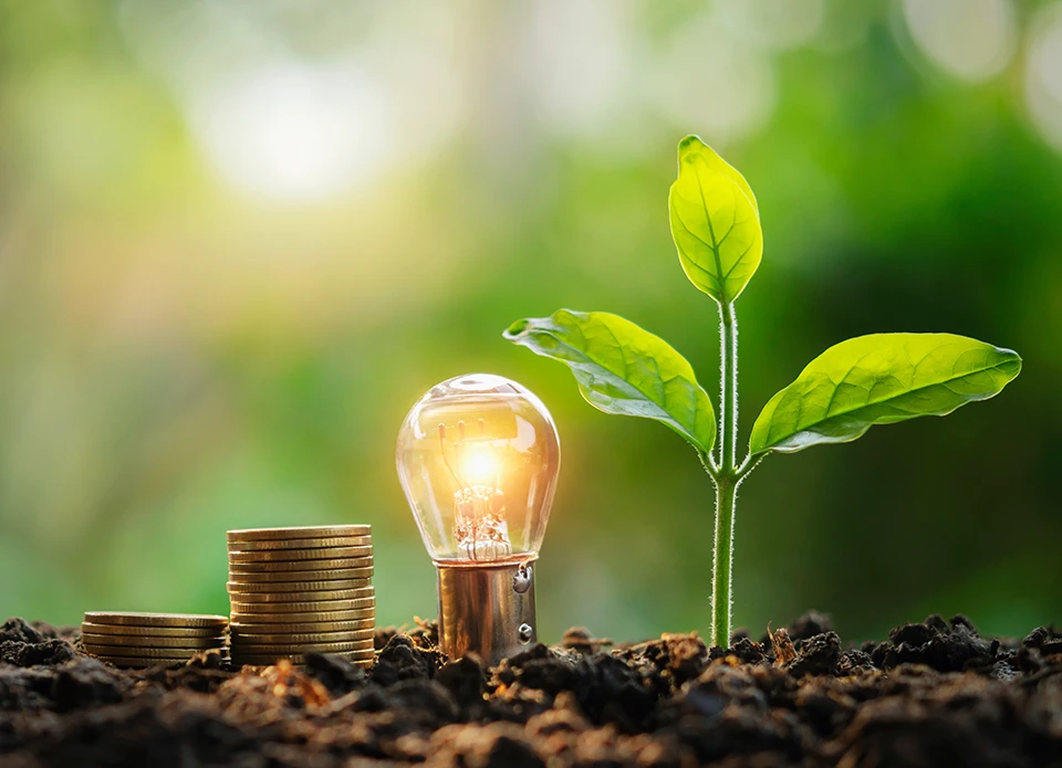 Domuneo propose des solutions de financement pour installation solaire pour les professionnels